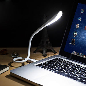 Portable USB Flex Light