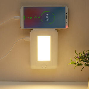 2-In-1 Power Adapter Motion Sensor LED Night Light